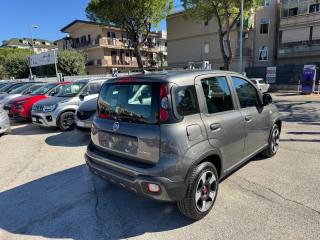 FIAT Panda Cross usata, con Antifurto