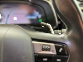 DS AUTOMOBILES DS 7 Crossback usata, con Autoradio digitale