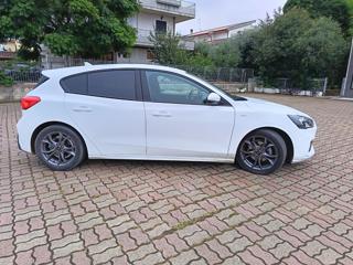 FORD Focus usata, con Airbag Passeggero