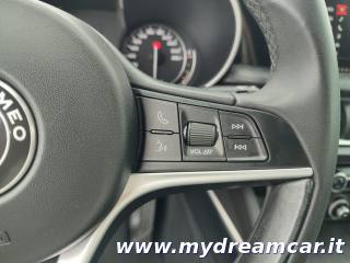 ALFA ROMEO Stelvio usata 27