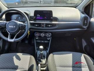 KIA Picanto usata 12