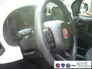 FIAT Panda Cross usata, con Chiusura centralizzata telecomandata