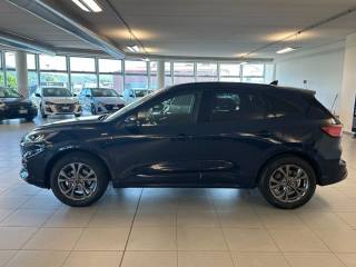 FORD Kuga usata, con Airbag Passeggero