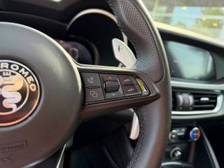 ALFA ROMEO Stelvio usata, con Cruise Control