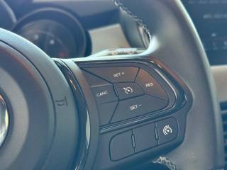 FIAT 500X usata, con Specchietti laterali elettrici