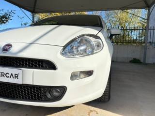 FIAT Punto usata 37