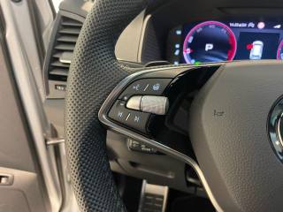 SKODA Karoq usata, con Climatizzatore