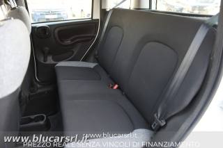 FIAT Panda usata 14