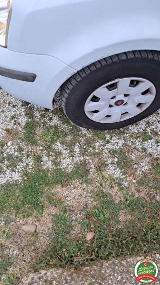 FIAT Panda usata, con Fendinebbia