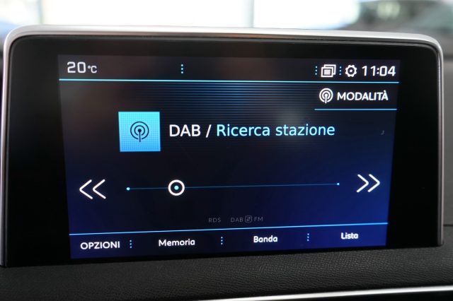PEUGEOT 5008 usata 54