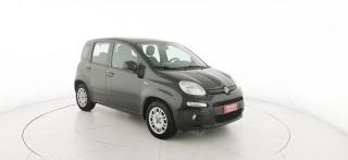 FIAT Panda usata 34