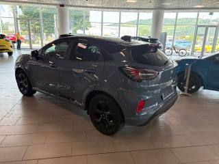 FORD Puma usata, con Controllo trazione