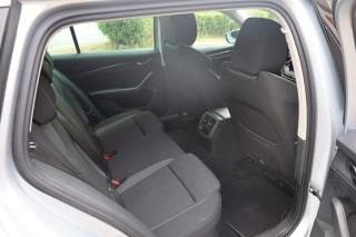 SKODA Octavia usata 133