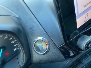 FORD EcoSport usata, con Fendinebbia