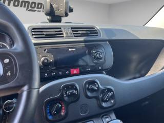 FIAT Panda usata 13