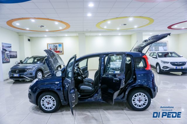 FIAT Panda usata, con USB