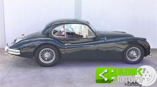 JAGUAR XK usata 3