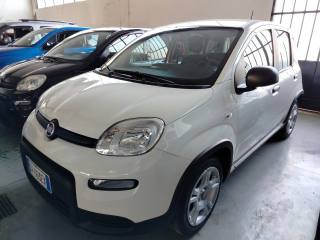 FIAT Panda usata, con Antifurto