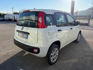 FIAT Panda usata, con Alzacristalli elettrici