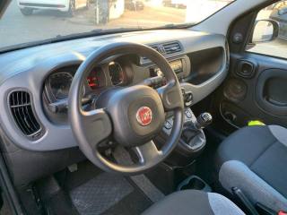 FIAT Panda usata 14