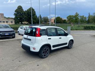 FIAT Panda usata, con Volante multifunzione