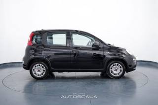FIAT New Panda usata, con Climatizzatore