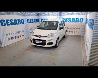 FIAT New Panda usata, con Airbag laterali