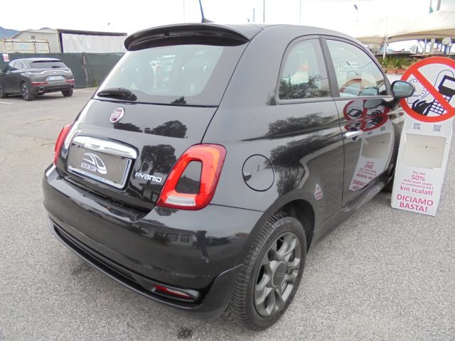 FIAT 500 usata 17