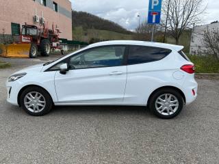 FORD Fiesta usata, con Cronologia tagliandi