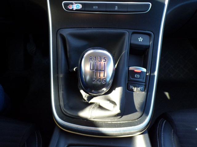 RENAULT Scenic usata 70
