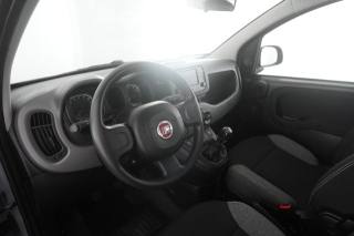 FIAT Panda usata 7