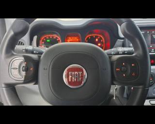 FIAT New Panda usata, con Gancio traino