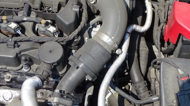 FORD Focus usata 137