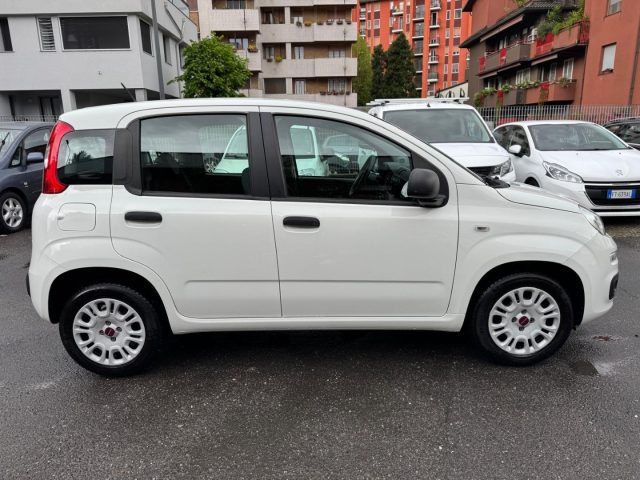 FIAT Panda usata, con Airbag Passeggero