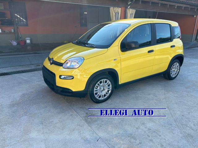 FIAT Panda usata, con Antifurto