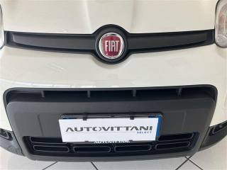 FIAT Panda usata 20