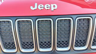 JEEP Renegade usata, con Vivavoce