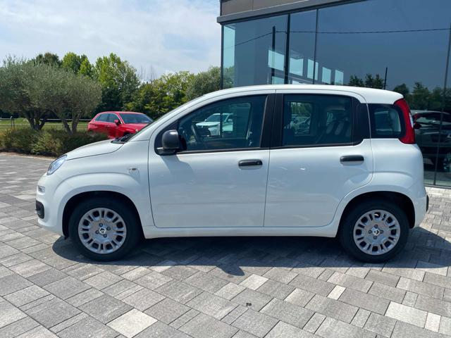 FIAT Panda usata, con Climatizzatore
