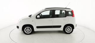 FIAT Panda usata 44