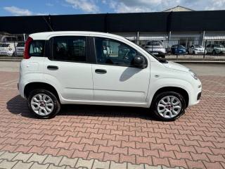 FIAT New Panda 0.9 TwinAir Natural Power EASY GUIDABILE NEOPAT.