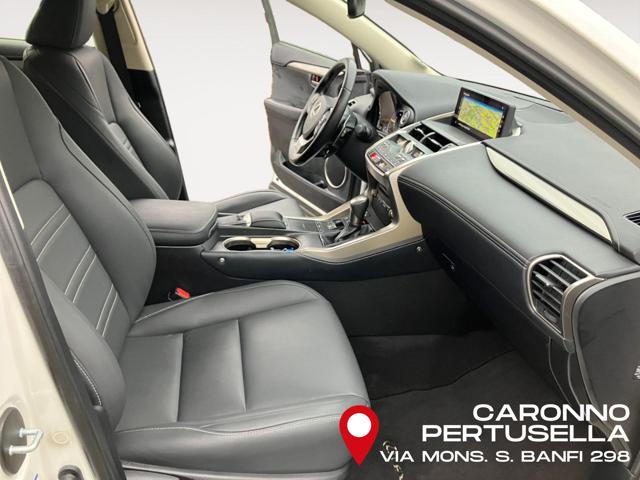 LEXUS NX 300 usata, con Fendinebbia