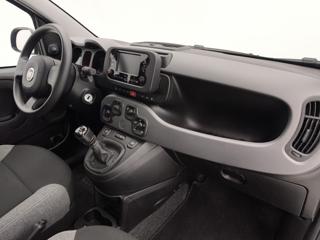 FIAT Panda usata 22