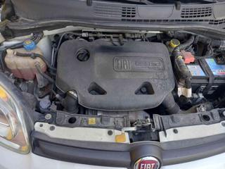 FIAT Panda usata 30
