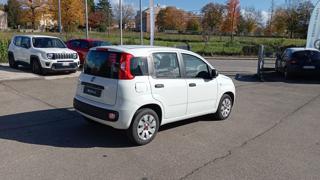 FIAT Panda usata, con Airbag testa