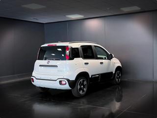 FIAT Panda usata, con Antifurto
