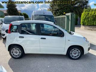 FIAT Panda usata, con Airbag