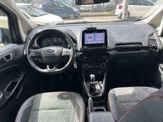 FORD EcoSport usata, con Boardcomputer