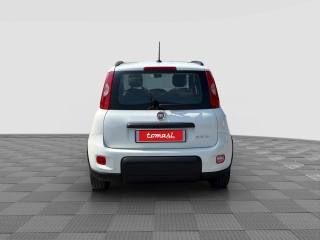 FIAT Panda usata 3