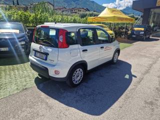 FIAT Panda usata, con Antifurto