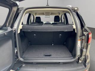 FORD EcoSport usata, con Bracciolo